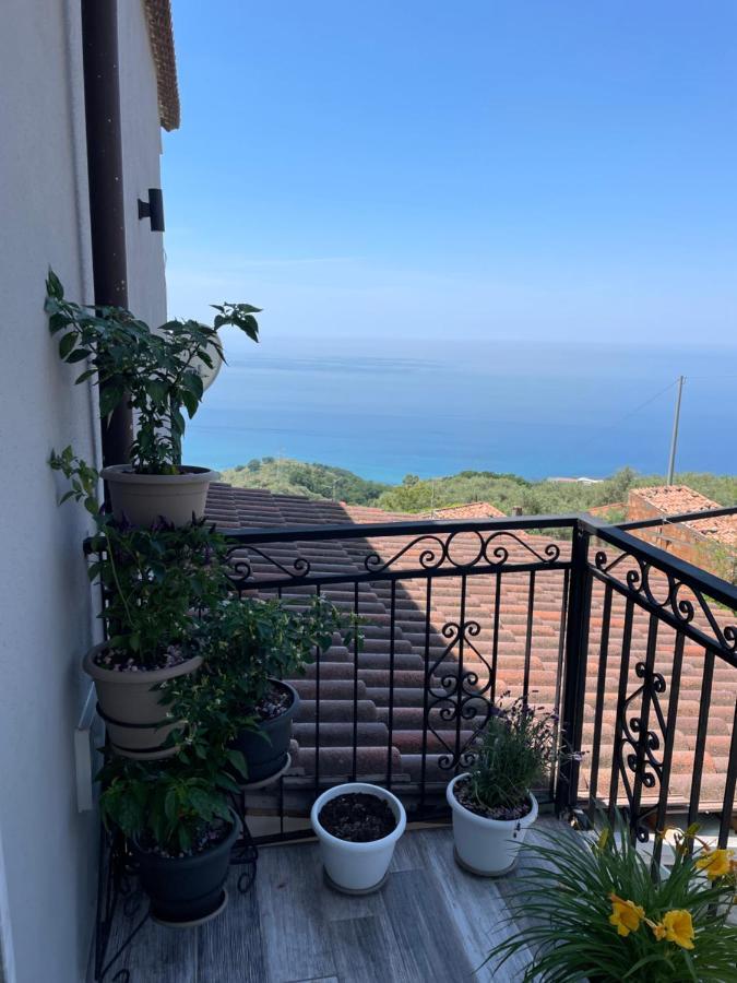 Il Panorama Apartment Buonvicino Bagian luar foto